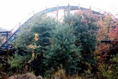 Abandoned Wildcat Rollercoaster