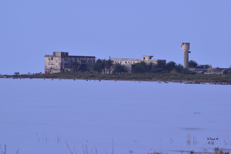 Image of the hotel from the water